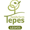 logo tepes