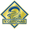 logo v.geitonas